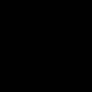 Meet your Posher, Animesh